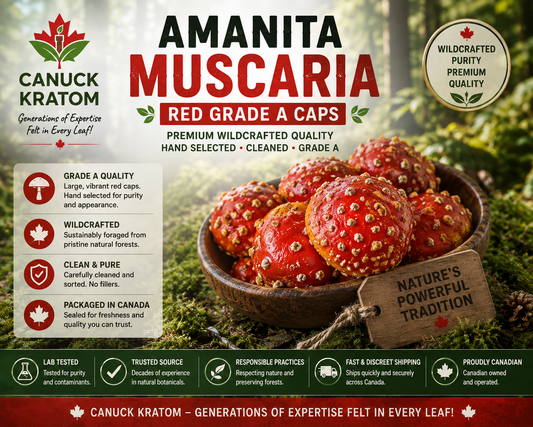 Premium Amanita Muscaria caps Canada – carefully selected Grade A red Fly Agaric mushrooms