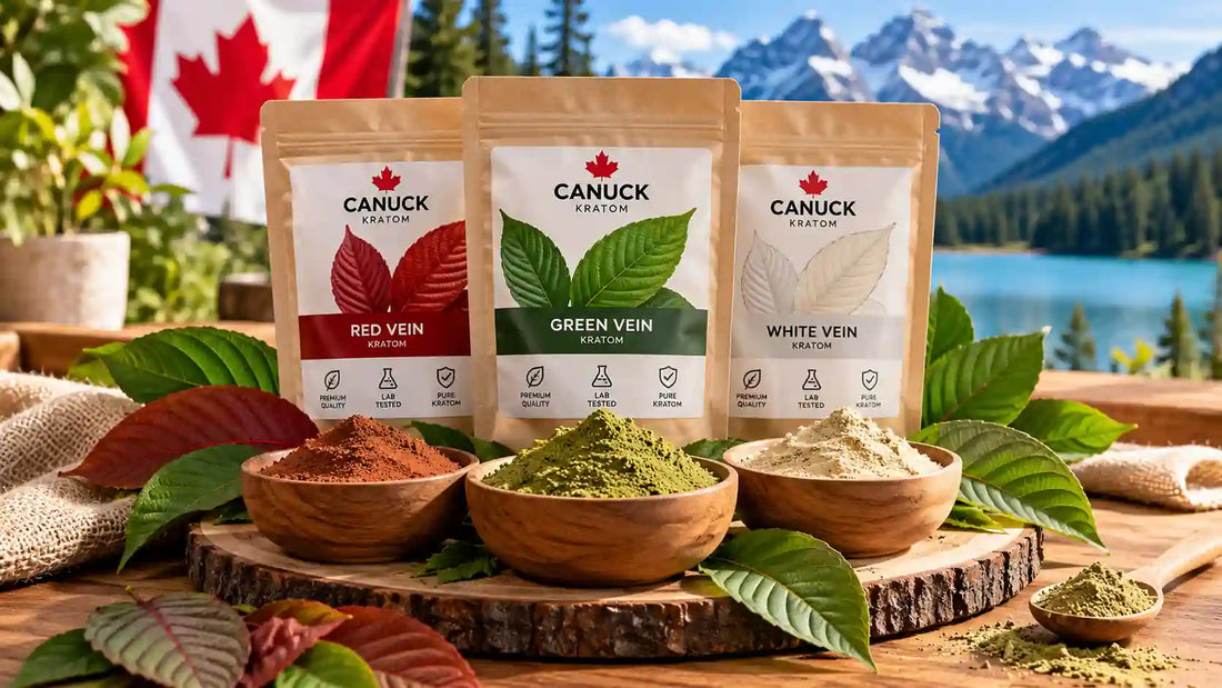 Kratom variety pack featuring red vein, green vein, and white vein kratom powder by Canuck Kratom.
