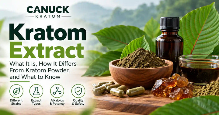 Kratom extract powder, capsules, resin, and liquid displayed with fresh kratom leaves for Canuck Kratom.