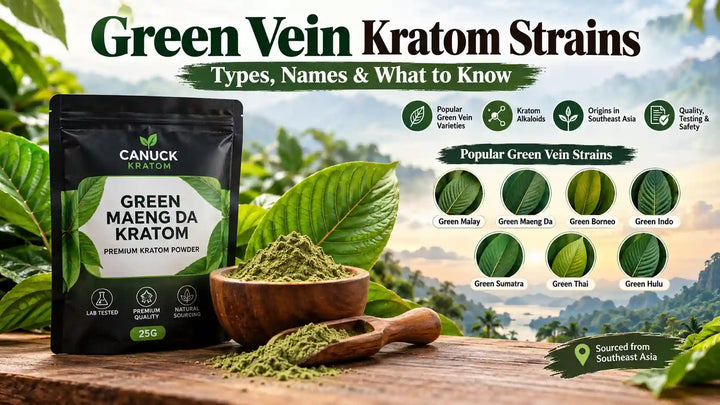 Green vein kratom strains infographic featuring Green Maeng Da kratom powder, green kratom leaves, and popular varieties including Green Malay, Green Borneo, Green Indo, Green Sumatra, Green Thai, and Green Hulu.
