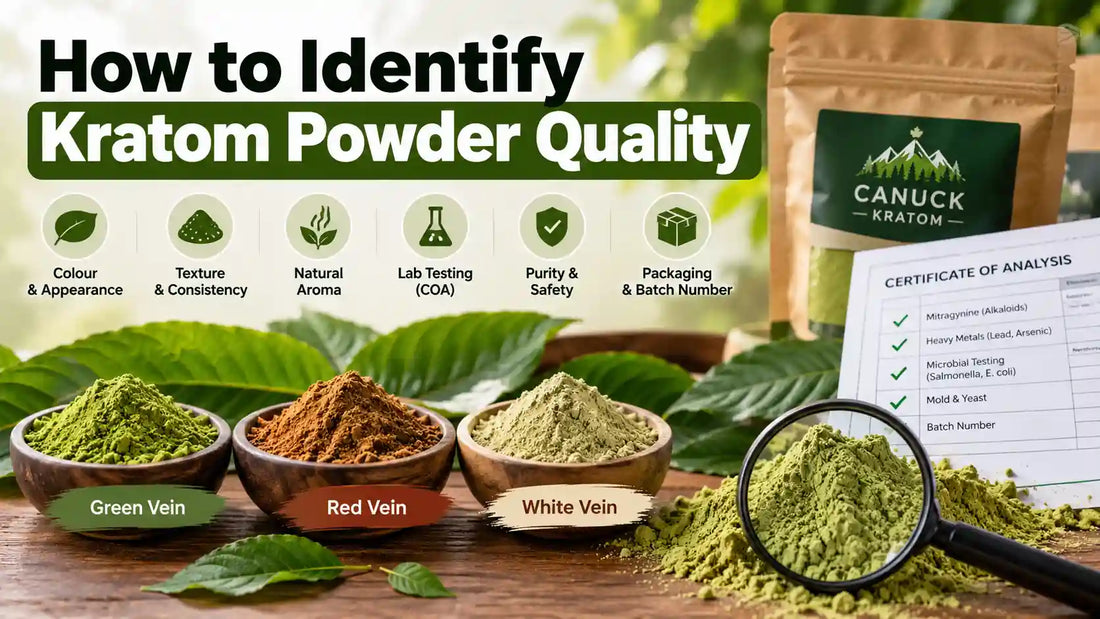 How to identify kratom powder quality by examining colour, texture, aroma, laboratory testing, certificate of analysis (COA), purity, and batch packaging.
