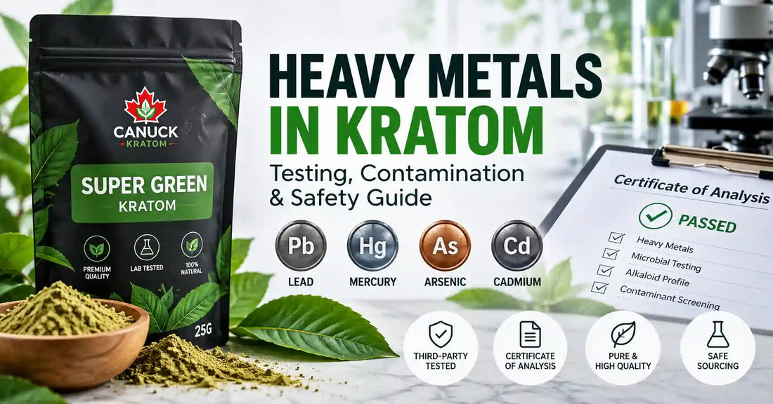 Heavy metals in kratom testing guide showing Super Green Kratom, lead, mercury, arsenic, cadmium, and a certificate of analysis.