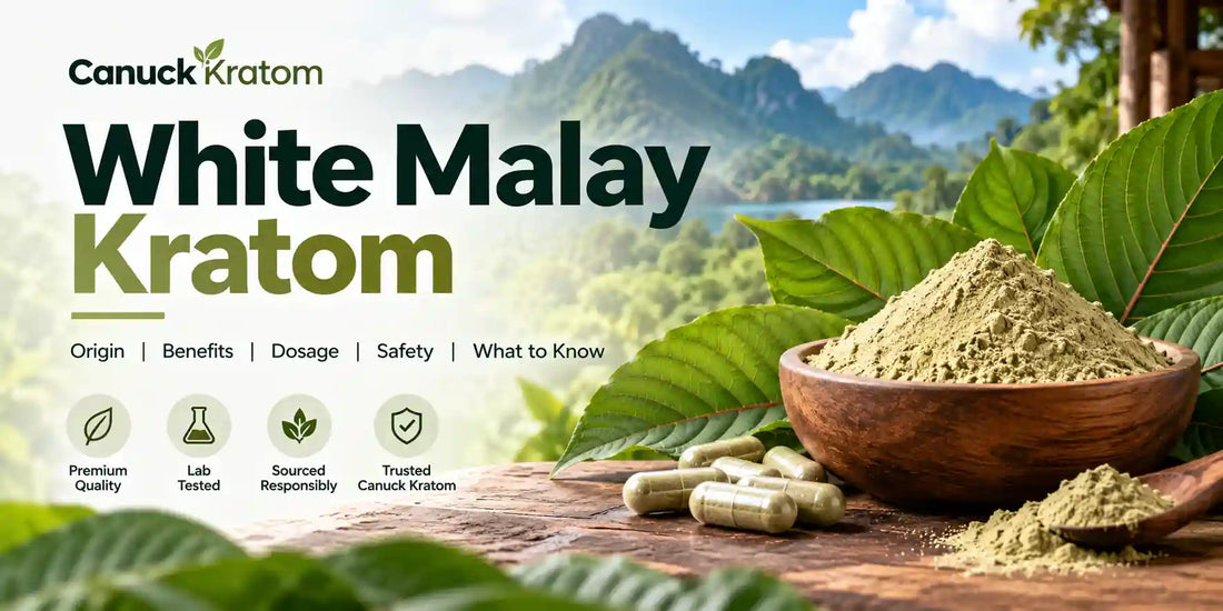 White Malay Kratom powder, capsules, and kratom leaves displayed with a tropical Malaysian landscape for a Canuck Kratom guide.