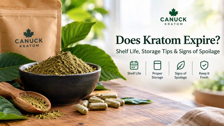 Does kratom expire? Canuck Kratom guide to kratom shelf life, proper storage, freshness, and signs of spoilage.