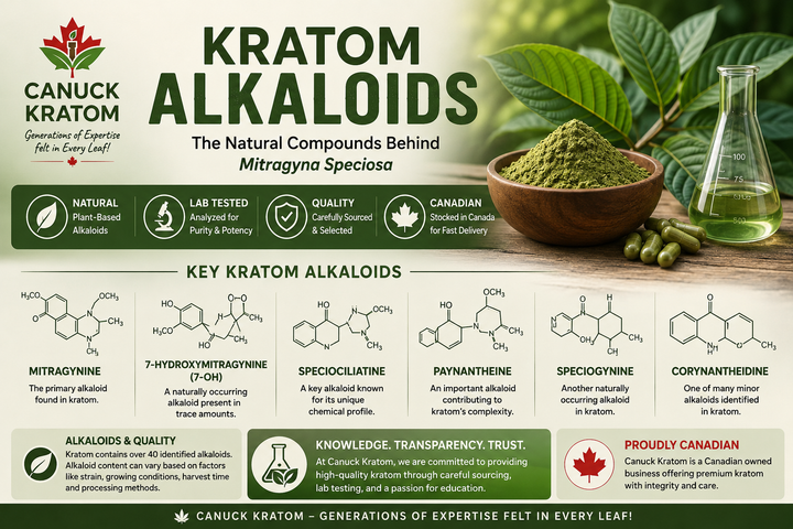 Kratom Alkaloids Explained | Mitragynine & 7-OH Canada Guide