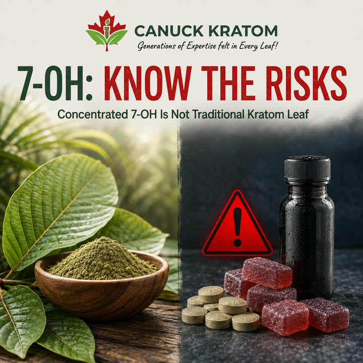 Canuck Kratom 7-OH safety graphic comparing natural kratom leaf powder with concentrated 7-OH tablets, gummies and liquid products.