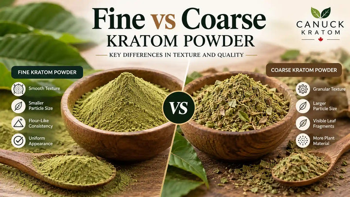 Fine vs coarse kratom powder comparison showing differences in texture, particle size, and visible leaf fragments by Canuck Kratom.