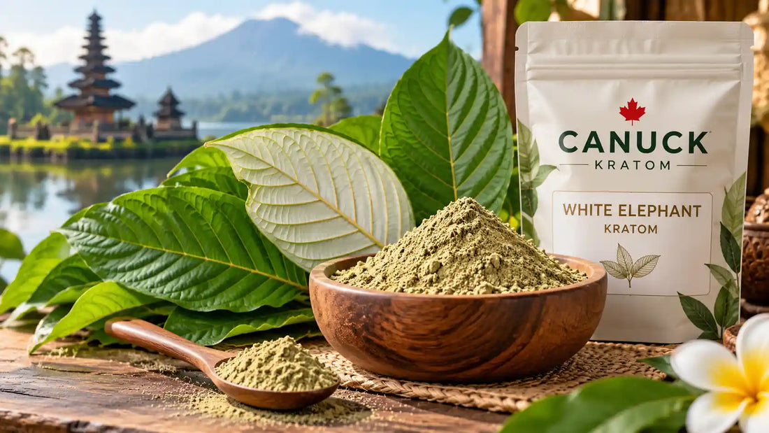 White Elephant Kratom by Canuck Kratom featuring kratom powder, white-veined green leaves, and branded packaging in a natural Southeast Asian setting.