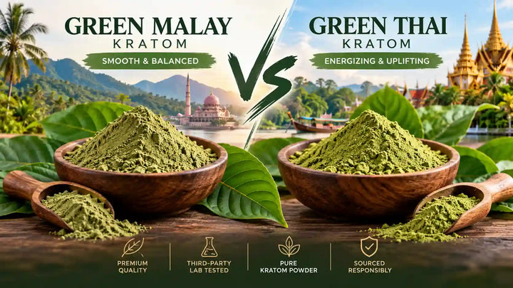 Green Malay vs Green Thai kratom comparison featuring green kratom powder in wooden bowls, botanical leaves, and Southeast Asian-inspired backgrounds.