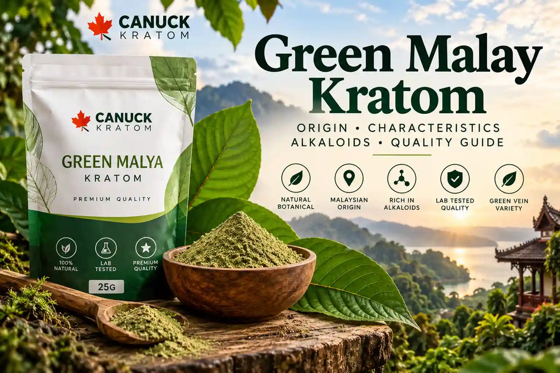 Green Malay kratom powder, fresh kratom leaves, and Canuck Kratom Green Malya packaging with Malaysian-inspired landscape background.