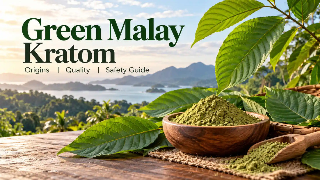 Green Malay kratom powder in a wooden bowl surrounded by green kratom leaves, illustrating its botanical origins, product quality, and safety information.