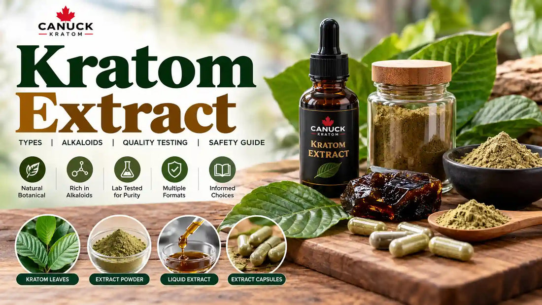 Kratom extract guide by Canuck Kratom featuring kratom leaves, extract powder, liquid extract, capsules, and resin, with information on alkaloids, quality testing, product types, and safety.