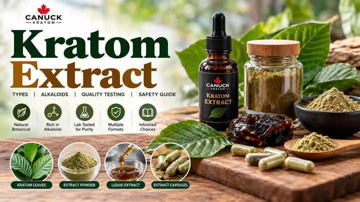 Kratom extract guide by Canuck Kratom featuring kratom leaves, extract powder, liquid extract, capsules, and resin, with information on alkaloids, quality testing, product types, and safety.