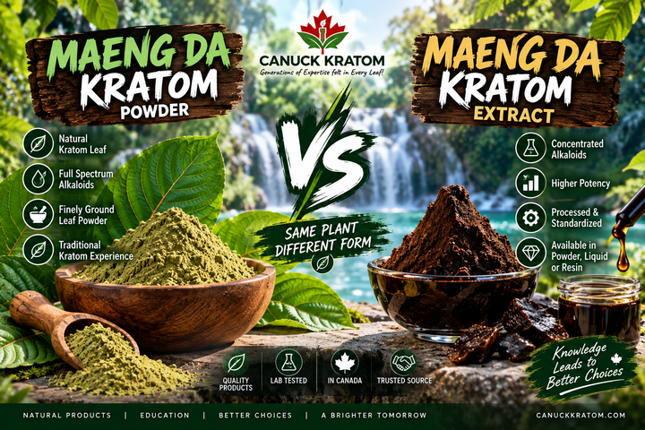 Maeng Da Kratom vs Maeng Da Kratom Extract comparison showing traditional kratom powder and concentrated extract