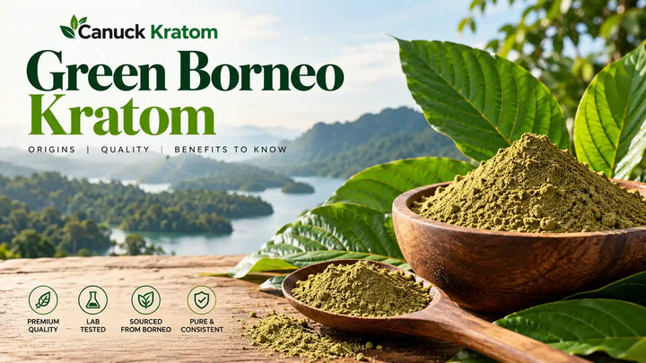 Green Borneo Kratom powder in a wooden bowl with fresh green kratom leaves and a tropical Borneo rainforest background by Canuck Kratom.