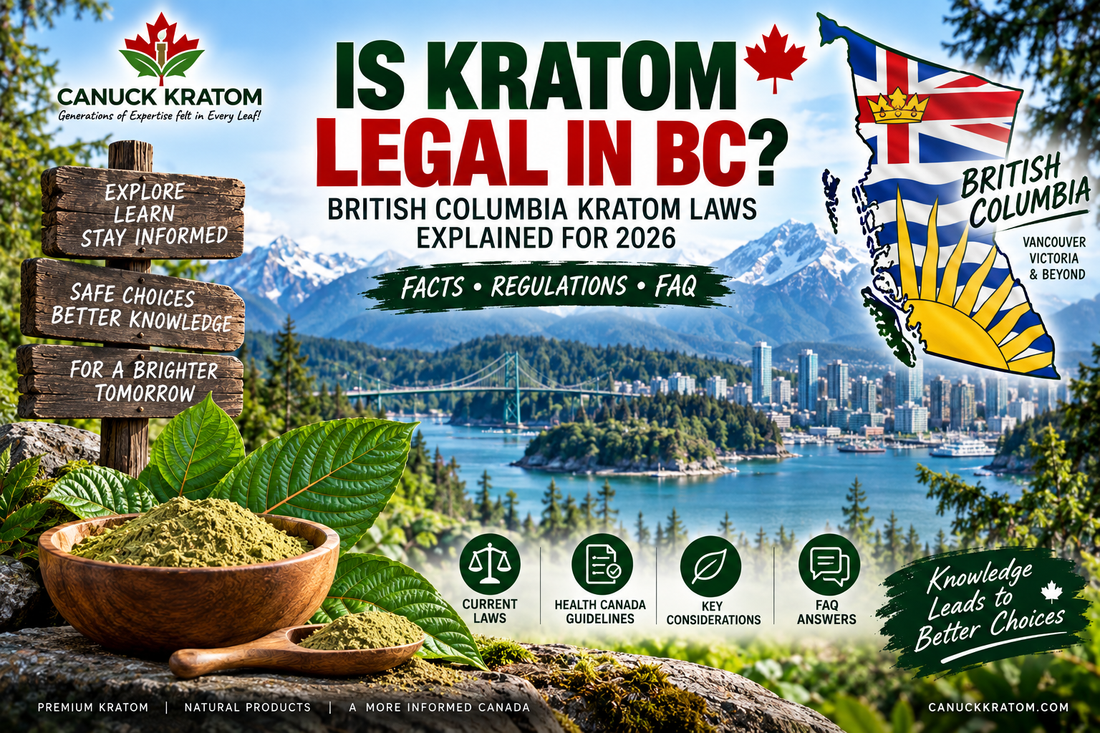 Is Kratom legal in BC 2026 guide to British Columbia kratom laws, regulations and Health Canada guidelines