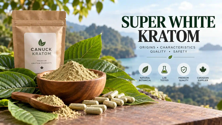 Super White Kratom guide featuring Canuck Kratom packaging, kratom leaf powder, green leaves, and capsules in a natural botanical setting.