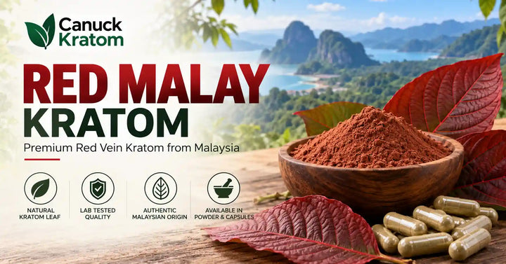 Red Malay Kratom powder in a wooden bowl with red kratom leaves and capsules against a tropical Malaysian landscape.