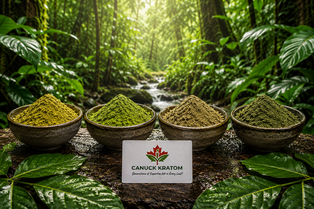 Kratom Blog Canada | Kratom Guides, News & Information