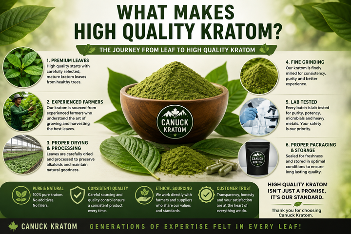 What Makes High-Quality Kratom? | Kratom Canada Guide