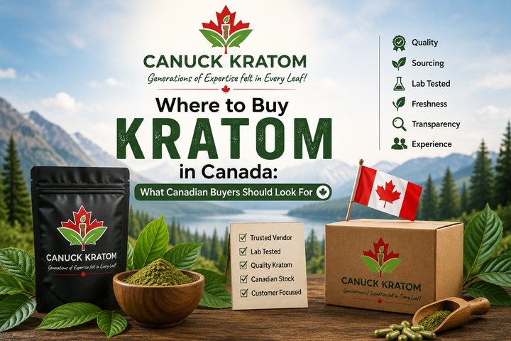 Where to Buy Kratom in Canada: What Canadian Buyers Should Look For
