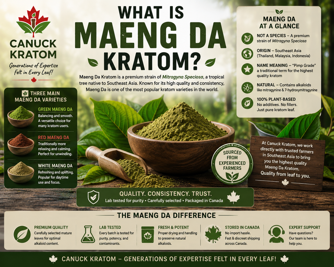 What Is Maeng Da Kratom? The Complete Maeng Da Kratom Canada Guide