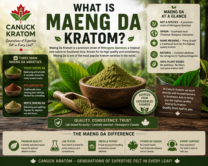 What Is Maeng Da Kratom? The Complete Maeng Da Kratom Canada Guide
