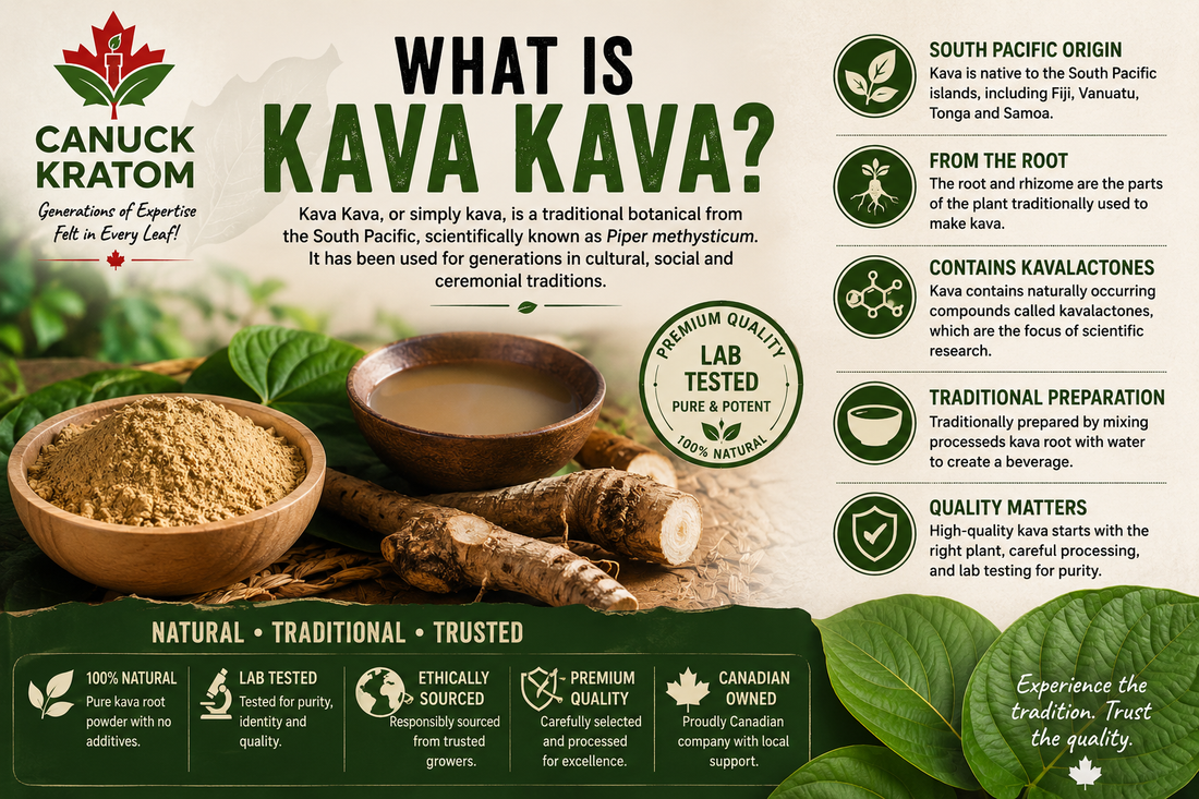 What Is Kava Kava? | Kava Kava Canada Complete Guide