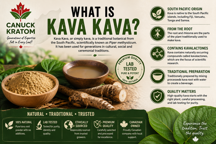 What Is Kava Kava? | Kava Kava Canada Complete Guide