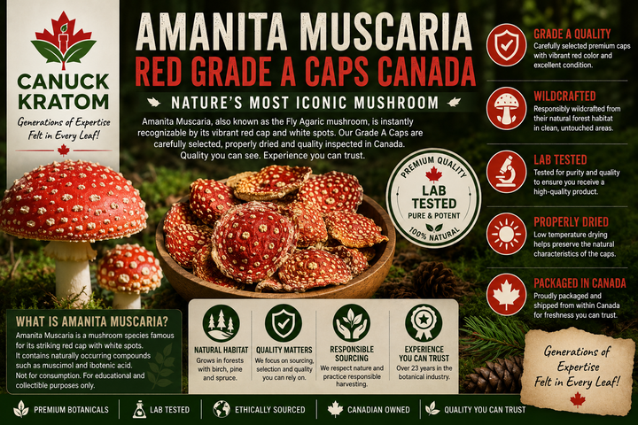 Amanita Muscaria Red Grade A Caps Canada | Complete Guide