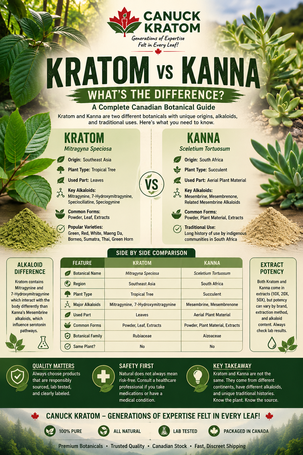 Kratom vs. Kanna: What’s the Difference? A Complete Canadian Botanical Guide
