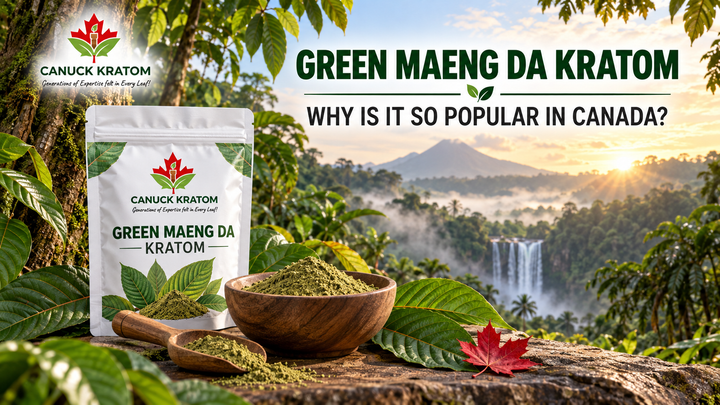 Canuck Kratom Green Maeng Da powder and branded pouch in a lush Indonesian rainforest for Canadian buyers