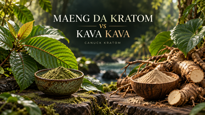 Maeng Da kratom leaves and green powder beside kava kava roots and powder in a side by side botanical comparison.