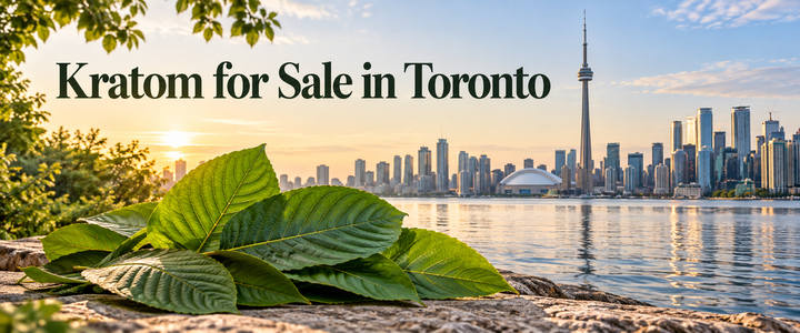 Kratom for Sale in Toronto? What Buyers Should Know