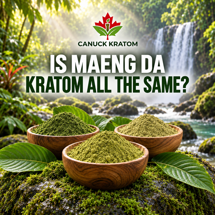 What Is Maeng Da Kratom?