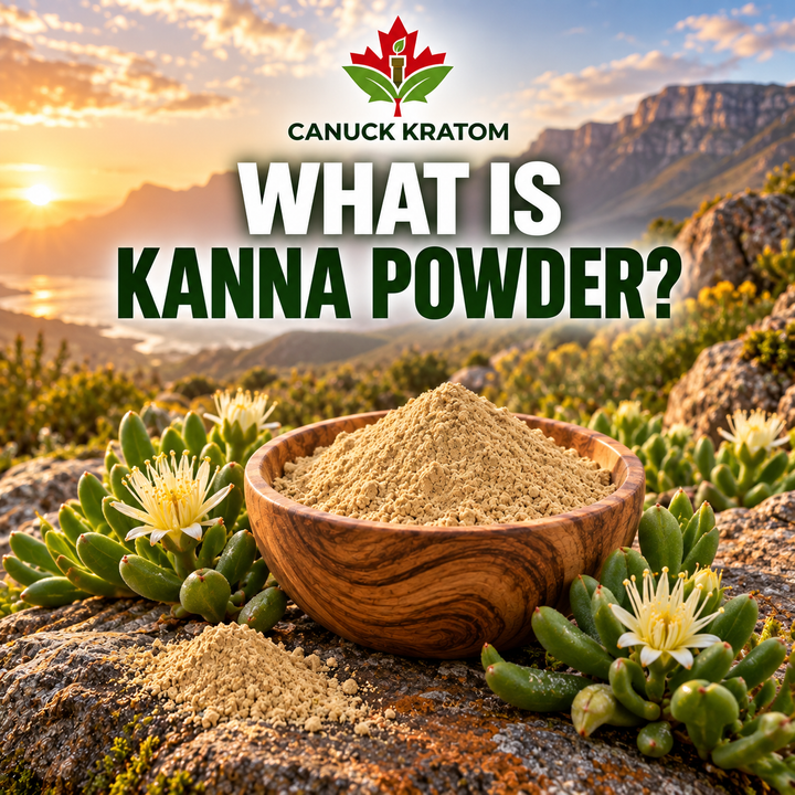What Is Kanna Powder? A Complete Guide for Canadians