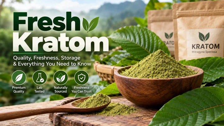 Fresh kratom powder in a wooden bowl with green kratom leaves and kraft packaging, illustrating kratom quality, freshness, storage, and product information.