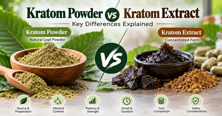 Kratom powder vs extract comparison showing natural leaf powder and concentrated kratom extract with key differences in potency, alkaloid content, cost, duration, and safety.