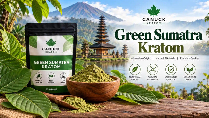 Green Sumatra Kratom powder and leaves with Canuck Kratom product pouch against an Indonesian tropical landscape.