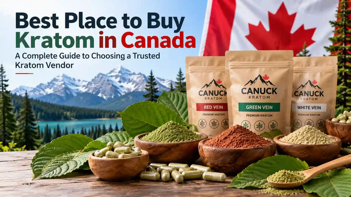 Best place to buy kratom in Canada – Canuck Kratom red, green, and white vein product pouches with kratom powder, capsules, and botanical leaves against a Canadian mountain landscape.