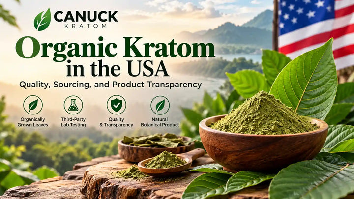 Organic Kratom in the USA – Canuck Kratom Powder, Natural Leaves, and Quality Sourcing.