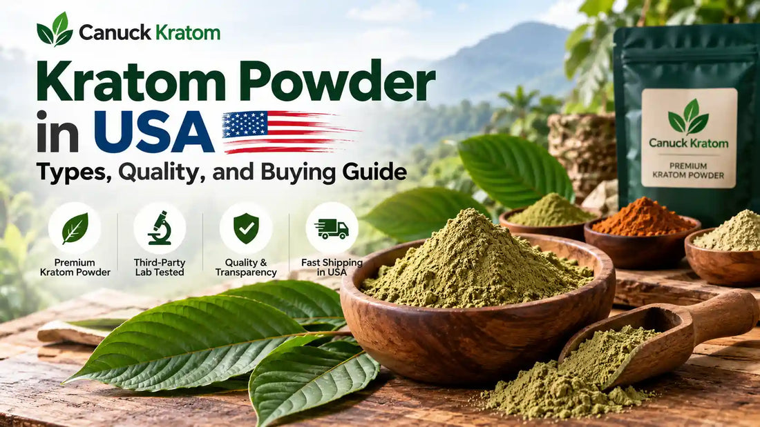 Kratom powder in USA buying guide featuring Canuck Kratom branding, green kratom leaves, bowls of kratom powder, and product quality information.
