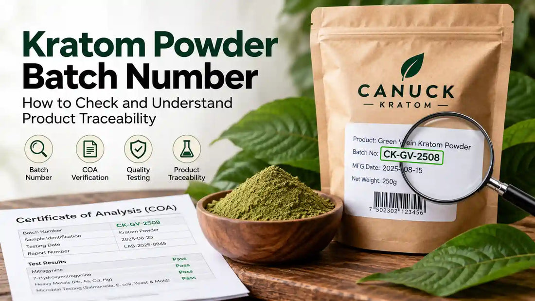 Kratom powder batch number guide showing Canuck Kratom packaging, batch identification code, certificate of analysis (COA), and laboratory testing for product traceability.