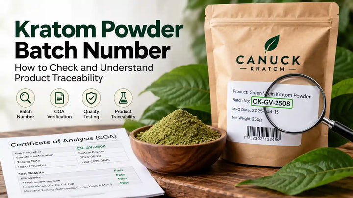 Kratom powder batch number guide showing Canuck Kratom packaging, batch identification code, certificate of analysis (COA), and laboratory testing for product traceability.