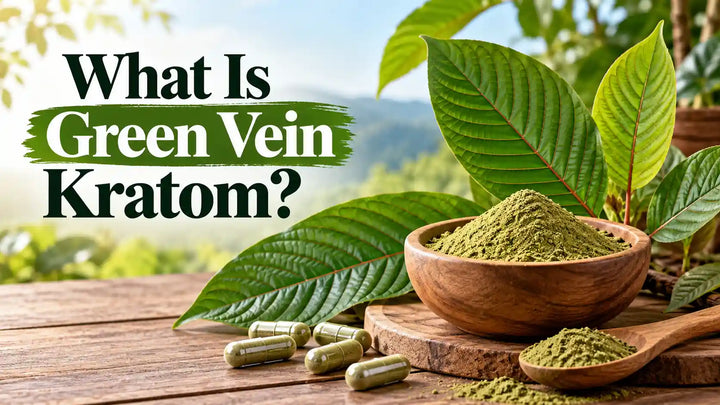 What is green vein kratom, featuring fresh green kratom leaves, green kratom powder, and capsules on a wooden table.