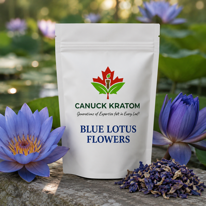 Blue Lotus Flowers - Canuck Kratom