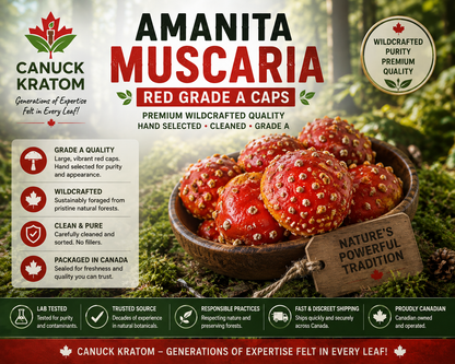 Premium Amanita Muscaria caps Canada – carefully selected Grade A red Fly Agaric mushrooms