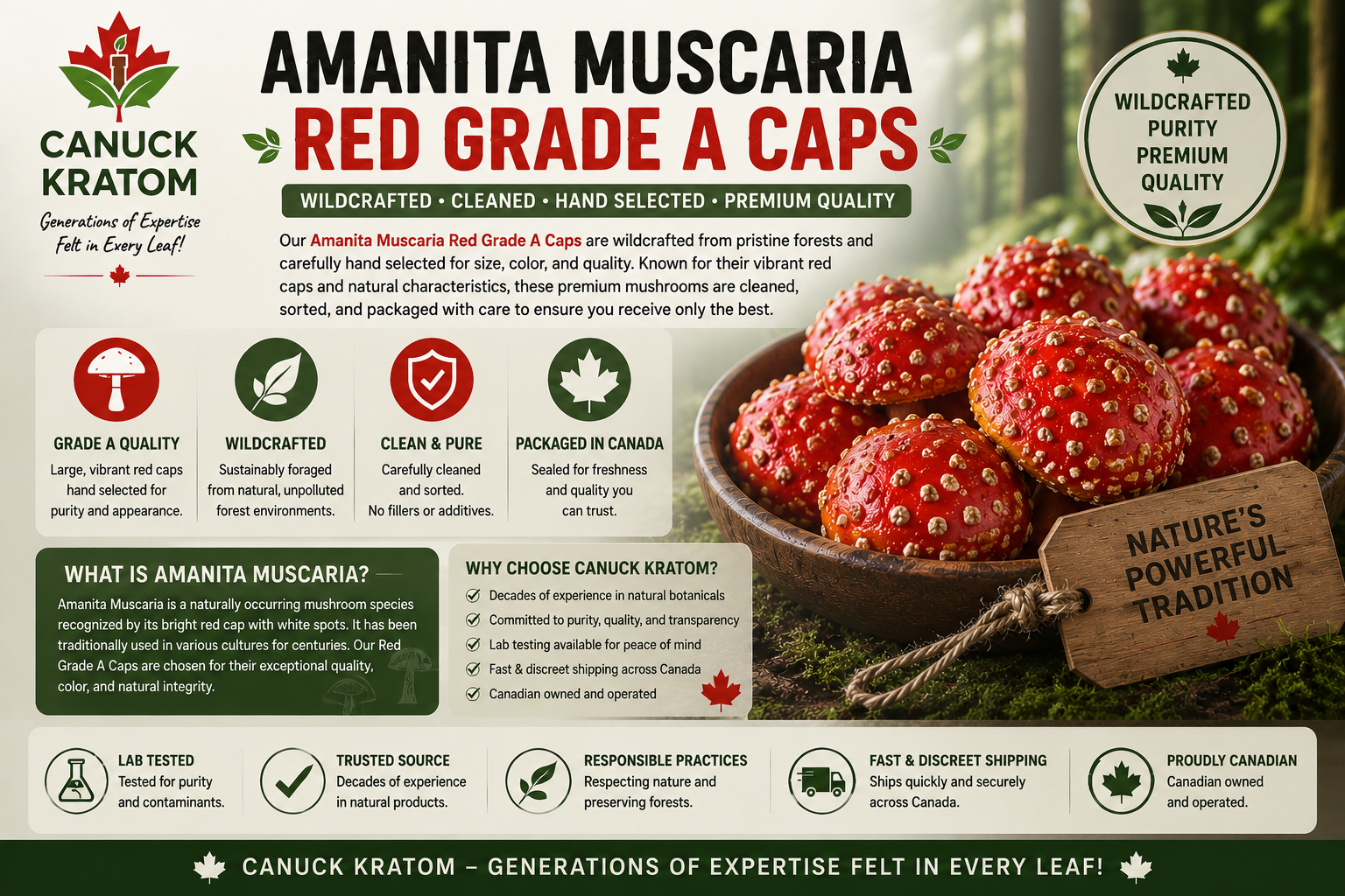 Amanita Muscaria Red Grade A Caps Canada – premium wildcrafted red mushroom caps