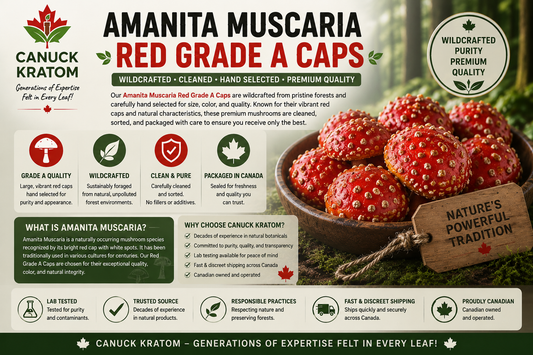 Amanita Muscaria Red Grade A Caps Canada – premium wildcrafted red mushroom caps