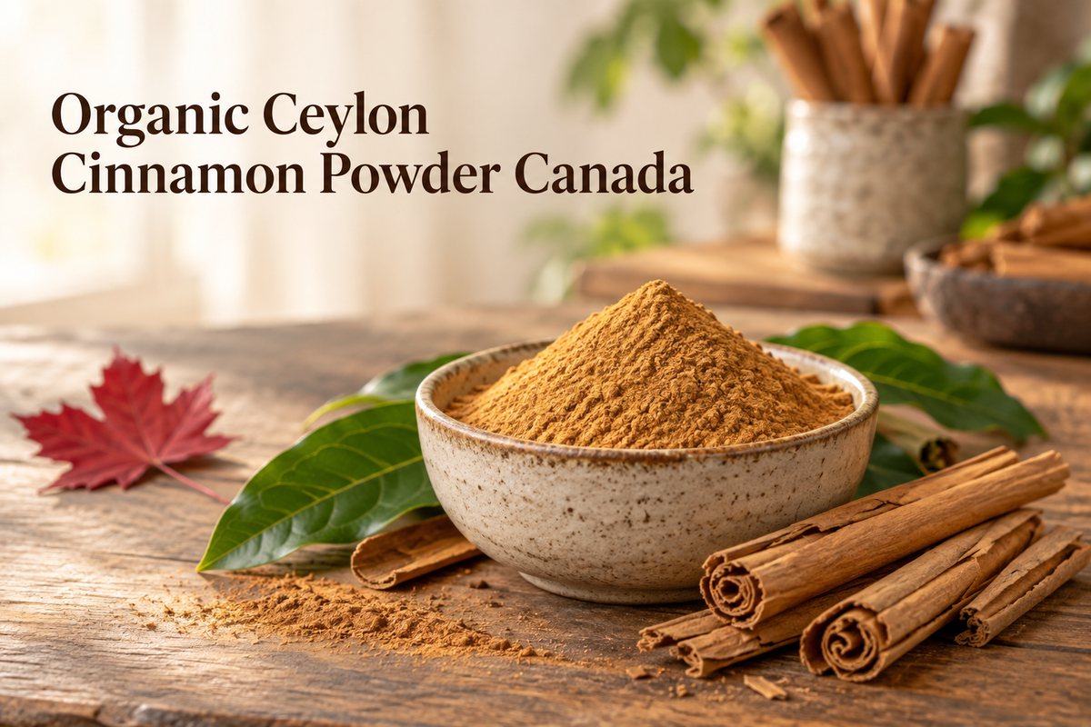 Organic Ceylon cinnamon powder in a ceramic bowl with cinnamon quills in Canada.